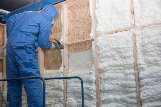 Best Insulation for New Construction  in Oak Grove, VA